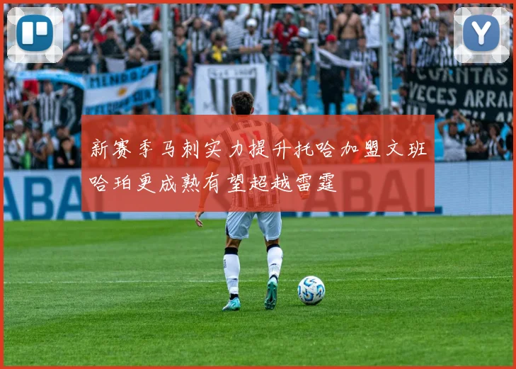 新赛季马刺实力提升托哈加盟文班哈珀更成熟有望超越雷霆