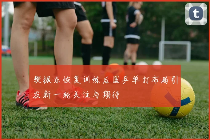 樊振东恢复训练后国乒单打布局引发新一轮关注与期待